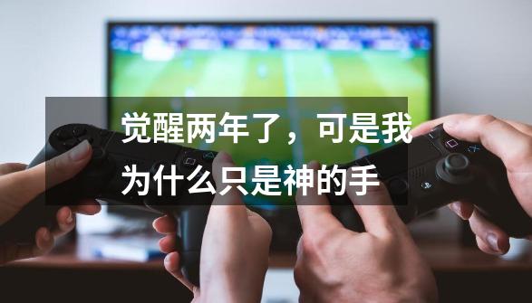 觉醒两年了，可是我为什么只是神的手-第1张-游戏信息-龙启网