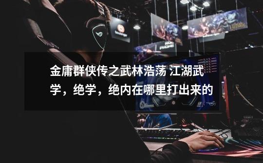 金庸群侠传之武林浩荡 江湖武学,绝学,绝内在哪里打出来的-第1张-游戏信息-龙启网
