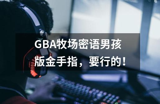 GBA牧场密语男孩版金手指,要行的!-第1张-游戏信息-龙启网