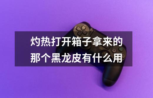 灼热打开箱子拿来的那个黑龙皮有什么用-第1张-游戏信息-龙启网