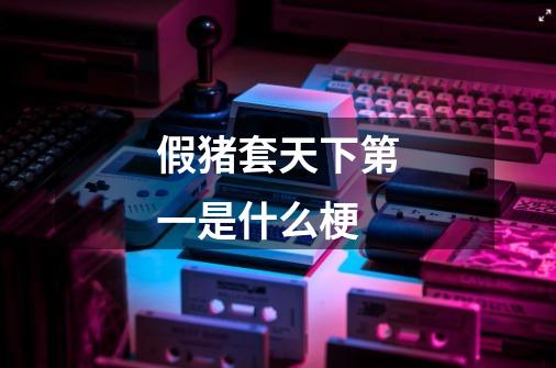 假猪套天下第一是什么梗-第1张-游戏信息-龙启网