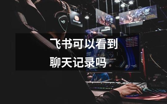 飞书可以看到聊天记录吗-第1张-游戏信息-龙启网