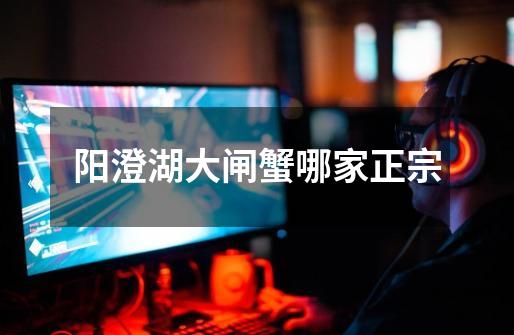 阳澄湖大闸蟹哪家正宗-第1张-游戏信息-龙启网