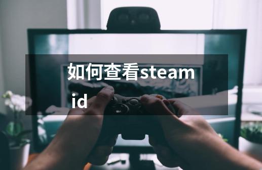 如何查看steam id-第1张-游戏信息-龙启网