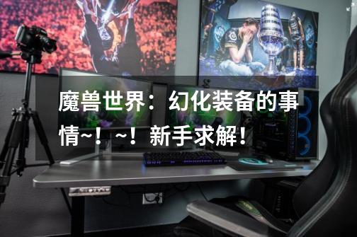 魔兽世界:幻化装备的事情~!~!新手求解!-第1张-游戏信息-龙启网