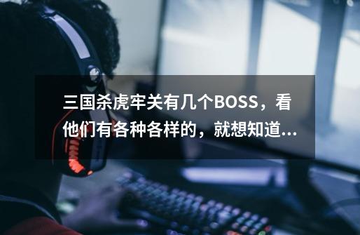 三国杀虎牢关有几个BOSS,看他们有各种各样的,就想知道啊,哪个大神来赐教一下-第1张-游戏信息-龙启网