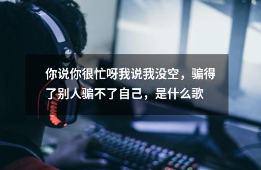 你说你很忙呀我说我没空,骗得了别人骗不了自己,是什么歌-第1张-游戏信息-龙启网