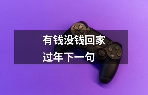 有钱没钱回家过年下一句-第1张-游戏信息-龙启网