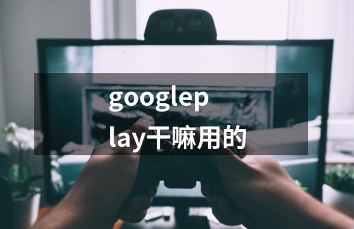 googleplay干嘛用的-第1张-游戏信息-龙启网