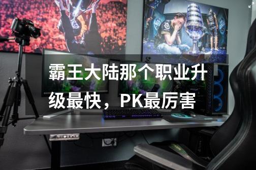 霸王大陆那个职业升级最快，PK最厉害-第1张-游戏信息-龙启网