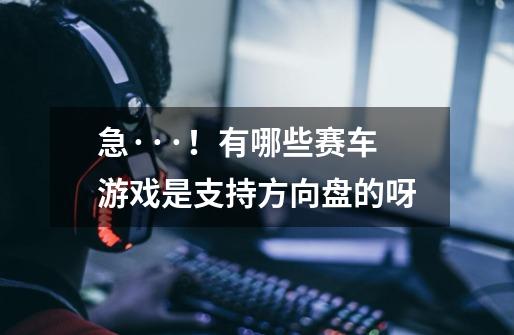 急···！有哪些赛车游戏是支持方向盘的呀-第1张-游戏信息-龙启网
