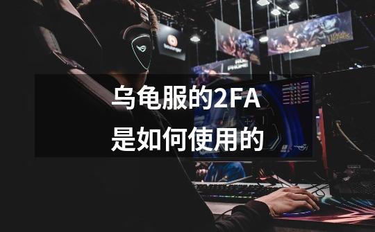 乌龟服的2FA是如何使用的-第1张-游戏信息-龙启网