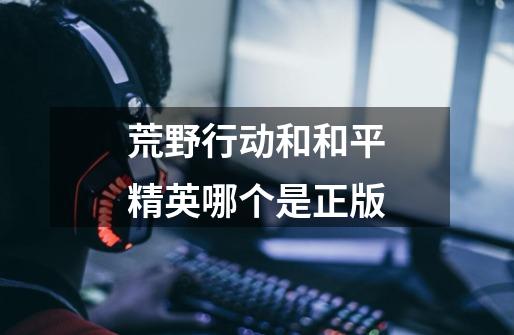 荒野行动和和平精英哪个是正版-第1张-游戏信息-龙启网