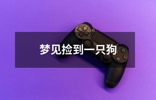 梦见捡到一只狗-第1张-游戏信息-龙启网