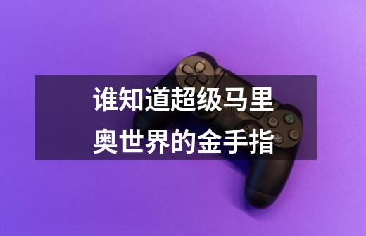 谁知道超级马里奥世界的金手指-第1张-游戏信息-龙启网