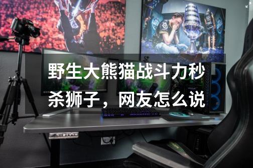 野生大熊猫战斗力秒杀狮子，网友怎么说-第1张-游戏信息-龙启网