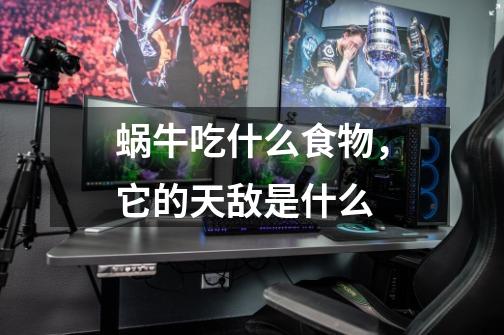 蜗牛吃什么食物,它的天敌是什么-第1张-游戏信息-龙启网