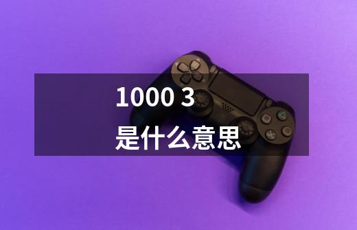 1000 3是什么意思-第1张-游戏信息-龙启网