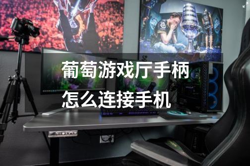 葡萄游戏厅手柄怎么连接手机-第1张-游戏信息-龙启网