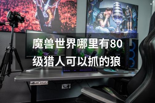 魔兽世界哪里有80级猎人可以抓的狼-第1张-游戏信息-龙启网