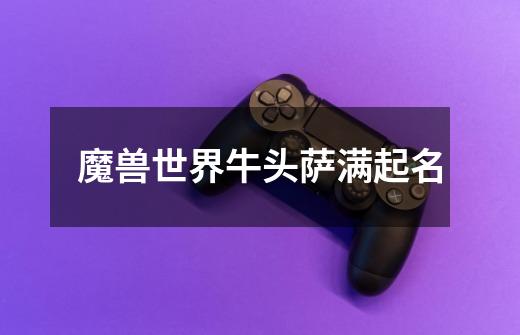 魔兽世界牛头萨满起名-第1张-游戏信息-龙启网
