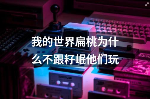 我的世界扁桃为什么不跟籽岷他们玩-第1张-游戏信息-龙启网
