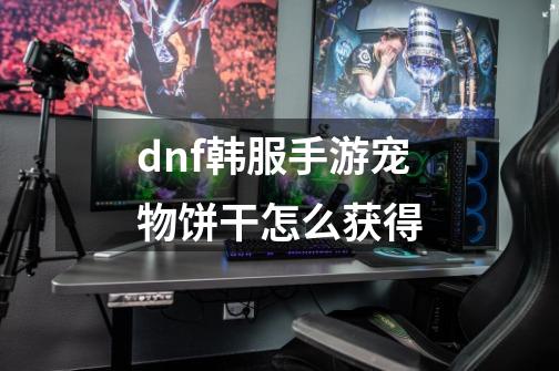 dnf韩服手游宠物饼干怎么获得-第1张-游戏信息-龙启网