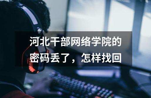 河北干部网络学院的密码丢了,怎样找回-第1张-游戏信息-龙启网