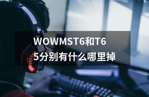 WOWMST6和T6.5分别有什么哪里掉-第1张-游戏信息-龙启网