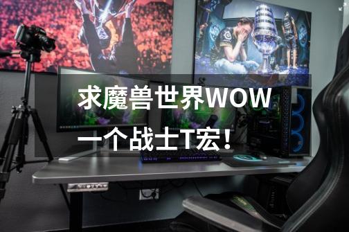求魔兽世界WOW一个战士T宏!-第1张-游戏信息-龙启网