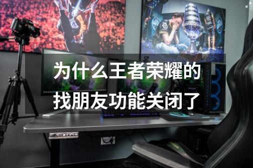 为什么王者荣耀的找朋友功能关闭了-第1张-游戏信息-龙启网