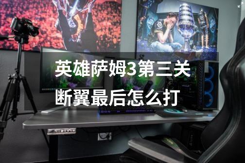 英雄萨姆3第三关断翼最后怎么打-第1张-游戏信息-龙启网