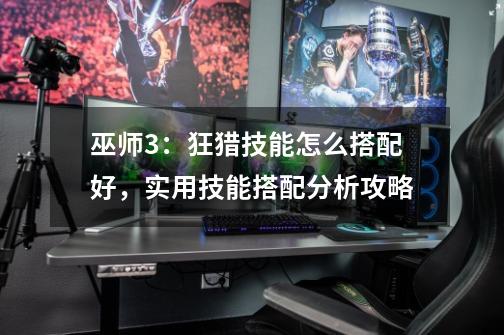 巫师3:狂猎技能怎么搭配好,实用技能搭配分析攻略-第1张-游戏信息-龙启网