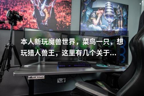 本人新玩魔兽世界,菜鸟一只,想玩猎人兽王,这里有几个关于兽王的问题请教一下-第1张-游戏信息-龙启网