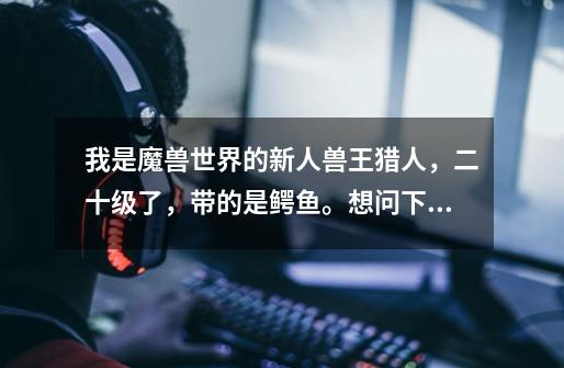 我是魔兽世界的新人兽王猎人,二十级了,带的是鳄鱼。想问下怎么培养出合适练级的宠物直到满级-第1张-游戏信息-龙启网