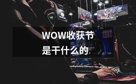 WOW收获节是干什么的-第1张-游戏信息-龙启网