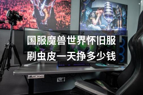 国服魔兽世界怀旧服刷虫皮一天挣多少钱-第1张-游戏信息-龙启网
