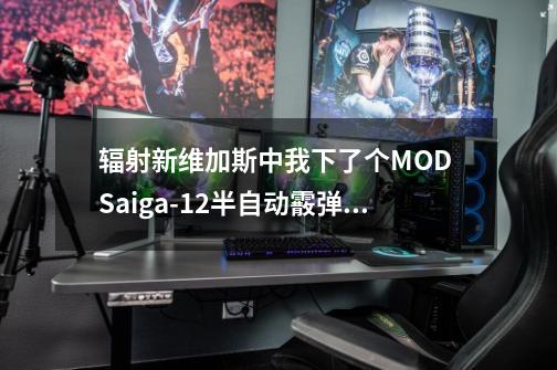 辐射新维加斯中我下了个MOD Saiga-12半自动霰弹枪 代码是多少-第1张-游戏信息-龙启网