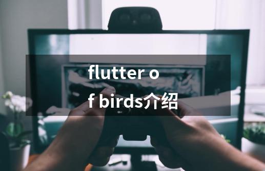flutter of birds介绍-第1张-游戏信息-龙启网
