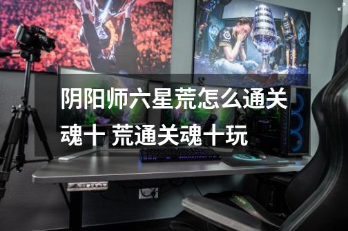 阴阳师六星荒怎么通关魂十 荒通关魂十玩-第1张-游戏信息-龙启网