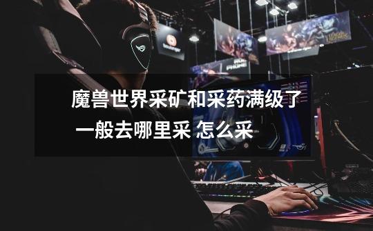 魔兽世界采矿和采药满级了 一般去哪里采 怎么采-第1张-游戏信息-龙启网