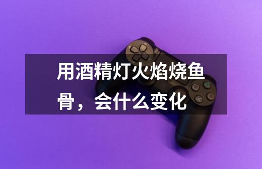用酒精灯火焰烧鱼骨，会什么变化-第1张-游戏信息-龙启网