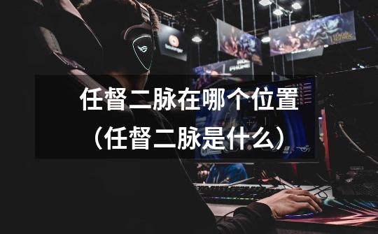 任督二脉在哪个位置(任督二脉是什么)-第1张-游戏信息-龙启网