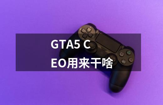 GTA5 CEO用来干啥-第1张-游戏信息-龙启网