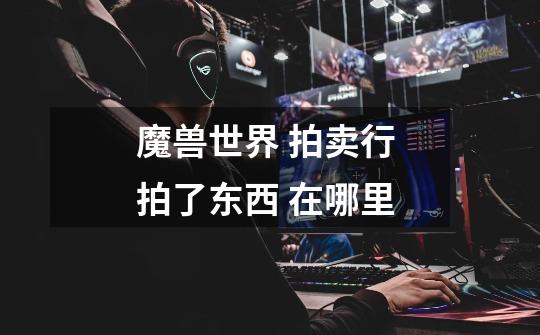魔兽世界 拍卖行 拍了东西 在哪里-第1张-游戏信息-龙启网