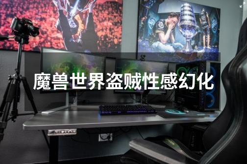 魔兽世界盗贼性感幻化-第1张-游戏信息-龙启网