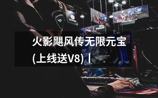 火影飓风传无限元宝(上线送V8)丨-第1张-游戏信息-龙启网