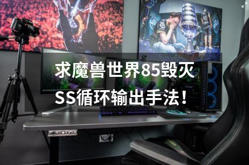 求魔兽世界85毁灭SS循环输出手法!-第1张-游戏信息-龙启网