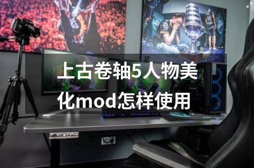 上古卷轴5人物美化mod怎样使用-第1张-游戏信息-龙启网