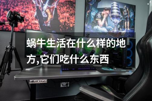 蜗牛生活在什么样的地方,它们吃什么东西-第1张-游戏信息-龙启网